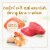Purina Fancy Feast Grilled Wet Cat Food Seafood Collection in Wet Cat Food Variety Pack Perspective: top