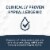 Extensive HA® Hypoallergenic Infant Formula with Iron, DHA & Probiotics Perspective: top