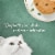 Fancy Feast Medleys White Meat Chicken Florentine with Cheese & Vegetables Pate Wet Cat Food Perspective: top