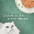 Fancy Feast Medleys Wild Salmon Primavera Pate Wet Cat Food Perspective: top