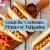 Farmer John Chicken and Pork Wieners Perspective: top
