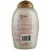 OGX® Kandee Pop Glam Hugs XO Ultra-Hydrating Shampoo Perspective: top
