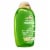 OGX Extra Strength Refreshing Scalp + Rosemary Mint Shampoo with Witch Hazel, Clarifying Wash Perspective: top