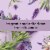 Love Beauty and Planet Soothing Spa Argan Oil & Lavender Hand Soap Perspective: top
