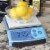 BIOS Professional 601SC 7-Mode Digital Portion Scale Perspective: top