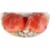 Organic Tomatoes on the Vine in 1lb Bag Perspective: top