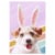 American Greetings Easter Card #60, Dog With Bunny Ears Perspective: top