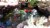 Koolscape Ultimate Pond Kit with Solar Light Perspective: top