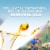 Air Wick Plug in Scented Oil Starter Kit Hawaii Air Freshener Essential Oils Perspective: top