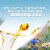 Air Wick Plug In Refill Lavender & Chamomile Scented Oil Air Freshener Perspective: top