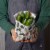 Ecologie Natural Beeswax Reusable Cat Food Sandwich Wraps Perspective: top