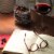 BROOKSIDE Dark Chocolate and Pomegranate Flavored Snacking Chocolate Bag Perspective: top