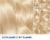 Clairol Born Blonde Ultimate Blonding Color Perspective: top