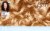 Clairol Nice'n Easy Permanent Hair Color 8G Medium Golden Blonde Perspective: top