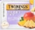 Twinings of London Focus Ginseng Mango & Pineapple Tea Bags Perspective: top