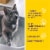 Purina Tidy Cats Tidy Care Alert Crystal Cat Litter Perspective: top
