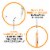 BIC® Xtra Sparkle No. 2 Lead Mechanical Pencils Perspective: top