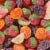 SOUR PATCH KIDS Fruits Mix Soft & Chewy Candy Share Size Perspective: top