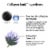 Neutrogena Collagen Bank Face Moisturizer Daily Anti-Aging Face & Neck Collagen Cream Perspective: top