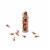Neutrogena Rapid Tone Repair Brightening Facial Serum Capsules with 20% Vitamin C Perspective: top