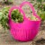 Mini Garden Colander (raspberry) Perspective: top