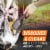 Armor All® Extreme Wheel and Tire Cleaner Perspective: top
