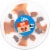 Blue Bunny® Load'd Sundaes Salted Caramel Pecan Frozen Dessert Cup Perspective: top