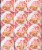 Nissin Spicy Chile Chicken Cup Noodles® Case Perspective: top