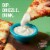 Hidden Valley Original Ranch Salad Dressing & Toppings Perspective: top