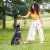 Rachael Ray Nutrish® Limited Ingredient Adult Dry Dog Food Lamb Meal & Brown Rice Recipe Perspective: top