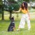 Rachael Ray Nutrish® Limited Ingredient Adult Dry Dog Food Lamb Meal & Brown Rice Recipe Perspective: top