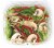Mushroom Stir Fry Blend Perspective: top