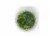 Diced Green Onions Perspective: top