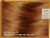 L'Oreal Excellence Age Perfect 6N Light Natural Brown Hair Color Kit Perspective: top