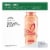 L'Oreal Paris Elvive Dream Lengths Shampoo Perspective: top