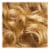 L'Oreal Paris Le Color Gloss Honey Blonde Toning Gloss Perspective: top