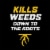Ortho® WeedClear™ Weed Killer for Lawns Perspective: top