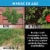 Ortho GroundClear Super 1 Gal. Weed & Grass Killer with Comfort Wand 4652705 Perspective: top