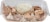 Harris Teeter Cannoli Chip & Dip Tray Perspective: top