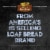 Nature's Own Perfectly Crafted Brioche Style Hamburger Buns Non-GMO Sandwich Buns Perspective: top