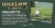 Bigelow Green Tea with Peach Tea Bags Perspective: top