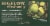 Bigelow Earl Grey Green Tea Perspective: top