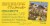 Bigelow Chamomile Mint Herbal Tea Bags Perspective: top