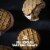 Tillamook Peanut Butter Chocolate Ice Cream Sandwiches Perspective: top