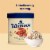 Tillamook Caramel Swirl Ice Cream Tub Perspective: top