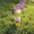Victor® Mole & Gopher Poison Peanuts Pellets Bait Perspective: top