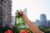 Heineken Original Lager Beer, 24 Pack, 12 fl oz Bottles Perspective: top