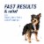 PETARMOR CAPACTION Fast-Acting Oral Flea Treatment for Small Dogs Perspective: top