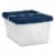 Sterilite Clear Storage Box Multipack - Marine Blue Perspective: top