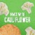 Arnold® Sandwich Thins Veggie Herb Rolls (Packaging May Vary) Perspective: top